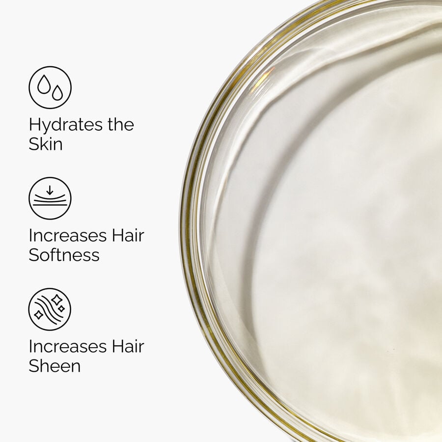 100-organic-cold-pressed-moroccan-argan-oil-j0 FY25-D41247-ORD-Web-PDP-100-Argan-Oil-1x1-EN-3.jpg