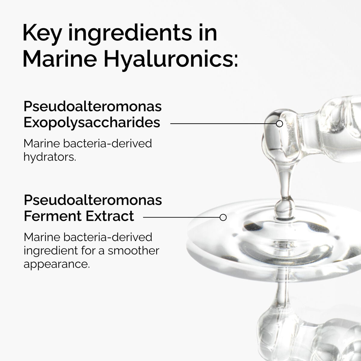 marine-hyaluronics-n5 FY25-D41247-ORD-Web-PDP-Marine-Hya-1x1-EN-2a.jpg