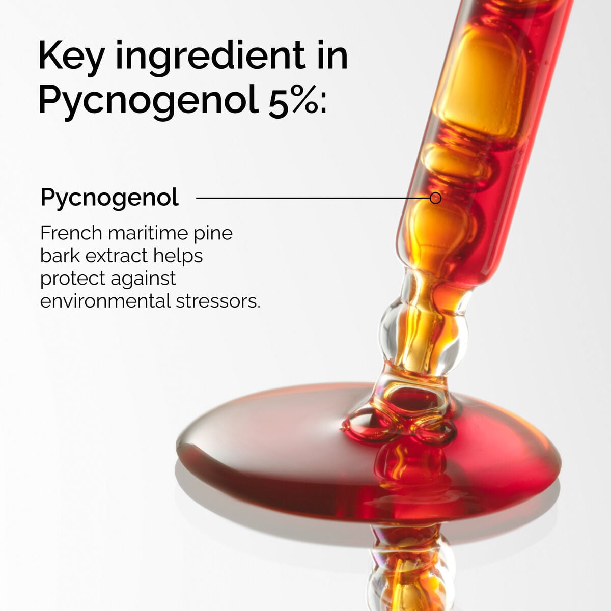 pycnogenol-5-l4 FY25-D41247-ORD-Web-PDP-Pyc-5pct-1x1-EN-2a.jpg